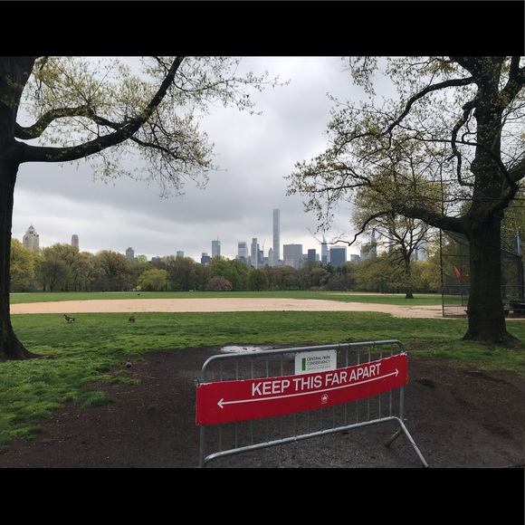 Meet your Posher, Ava - Picture 3 of 8